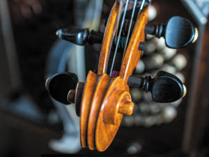 Violine Detail